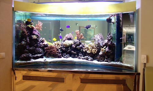 Поделка аквариум с рыбками